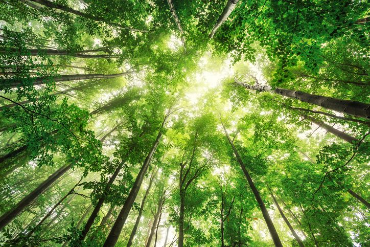 C'est quoi le développement durable