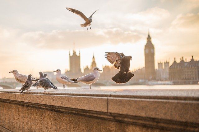 2 jours à londres